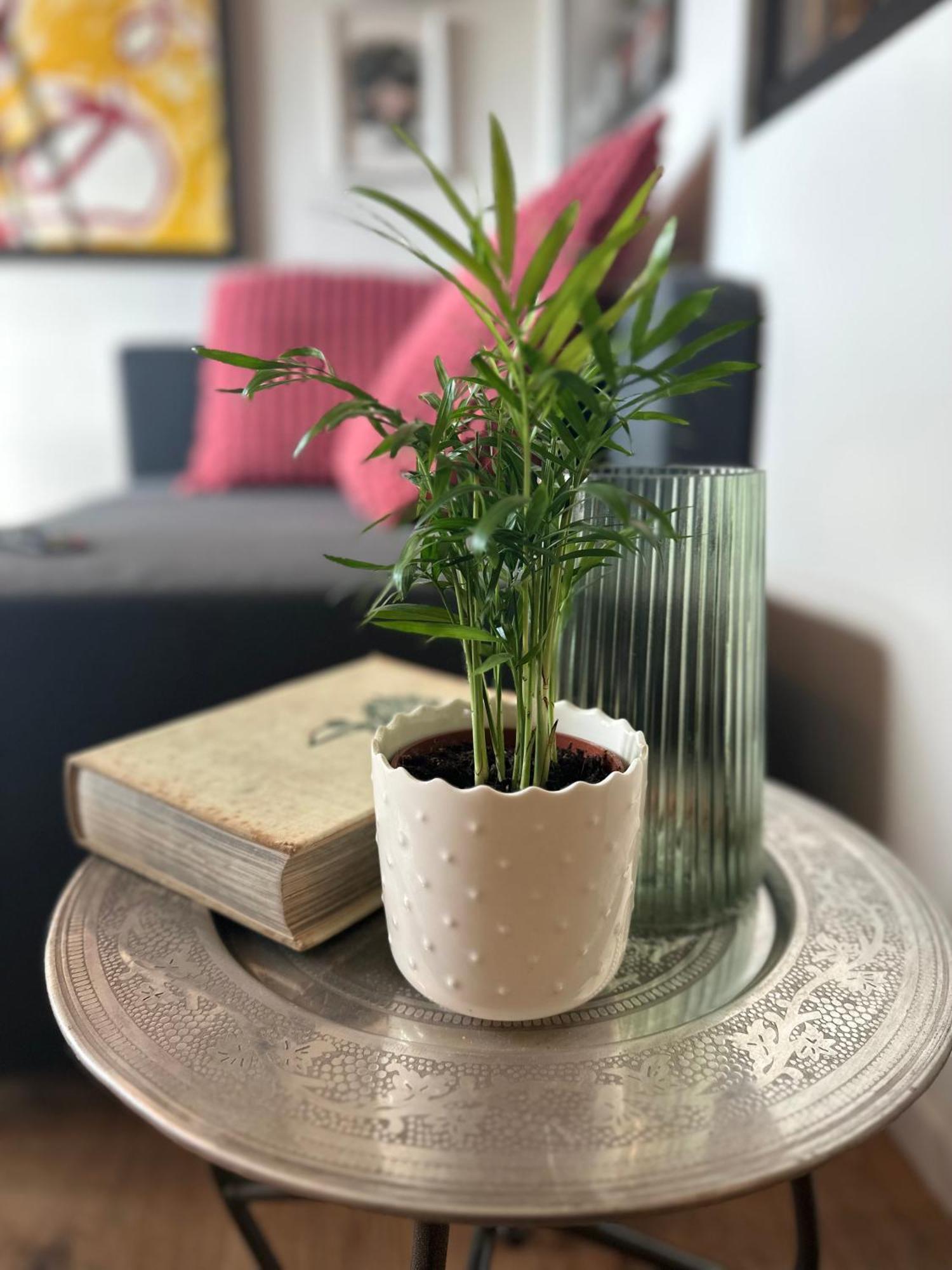 Soprabosco Calcata Art & Design Apartment Dış mekan fotoğraf
