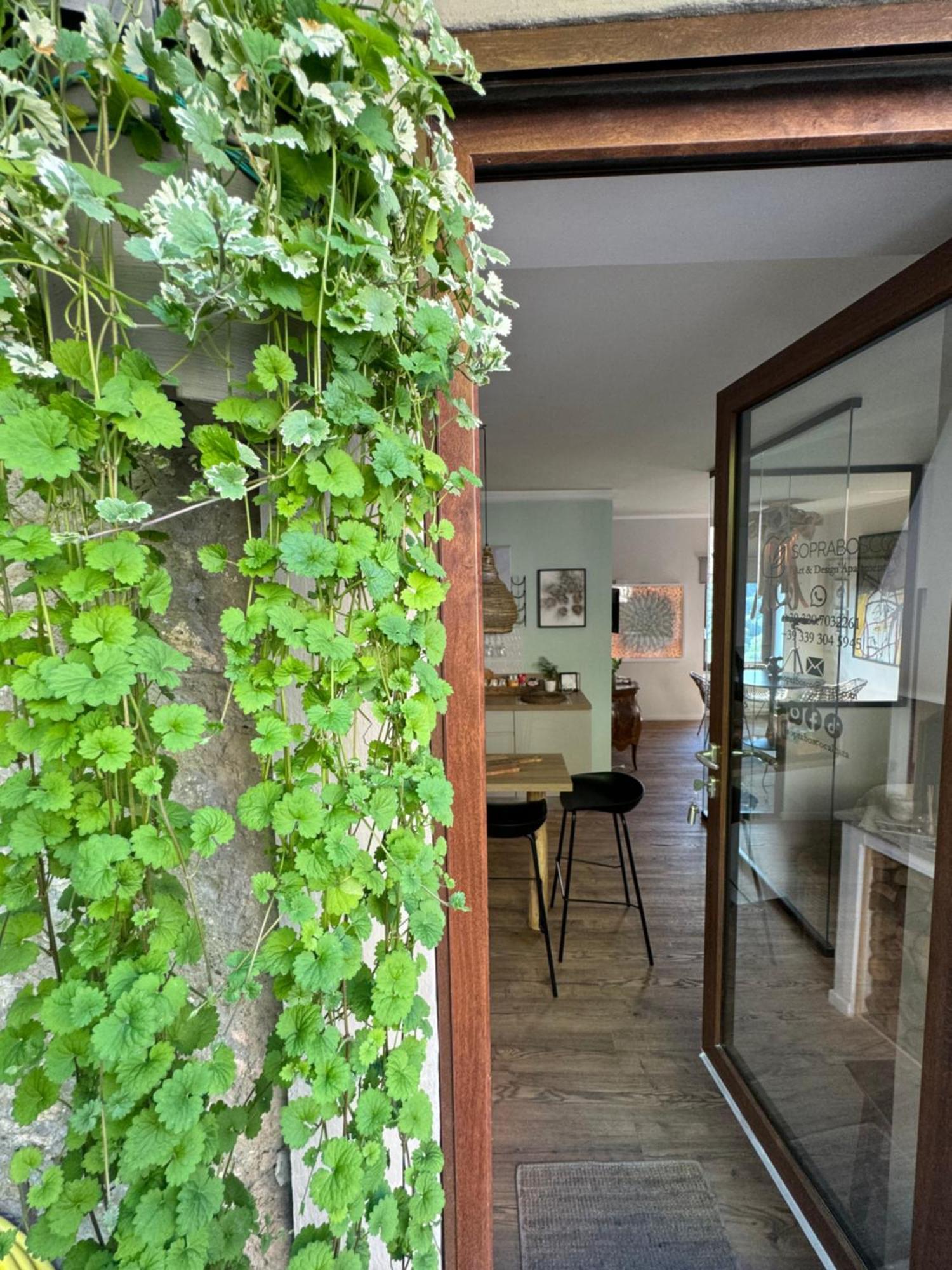 Soprabosco Calcata Art & Design Apartment Dış mekan fotoğraf